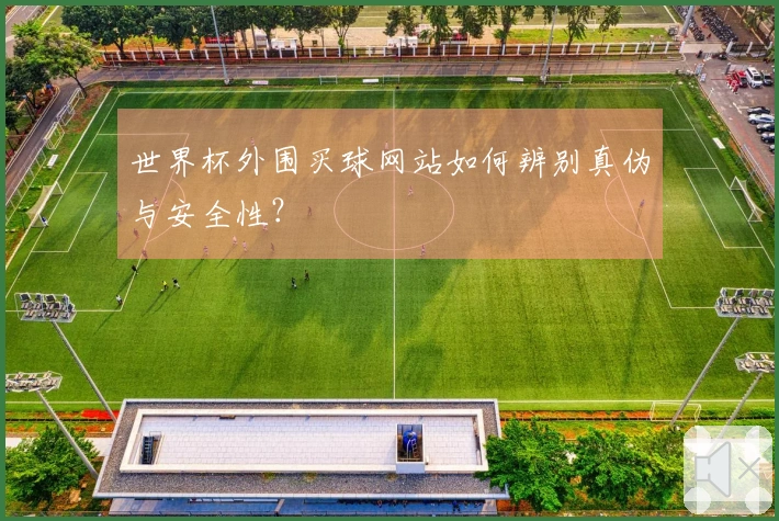 世界杯外围买球网站如何辨别真伪与安全性？