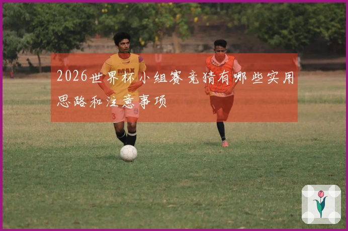 2026世界杯小组赛竞猜有哪些实用思路和注意事项
