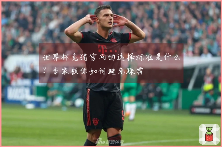 世界杯竞猜官网的选择标准是什么？专家教你如何避免踩雷