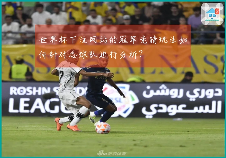 世界杯下注网站的冠军竞猜玩法如何针对各球队进行分析？