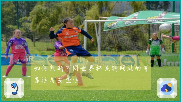 如何判断不同世界杯竞猜网站的可靠性与安全性