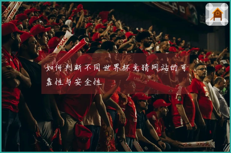 如何判断不同世界杯竞猜网站的可靠性与安全性