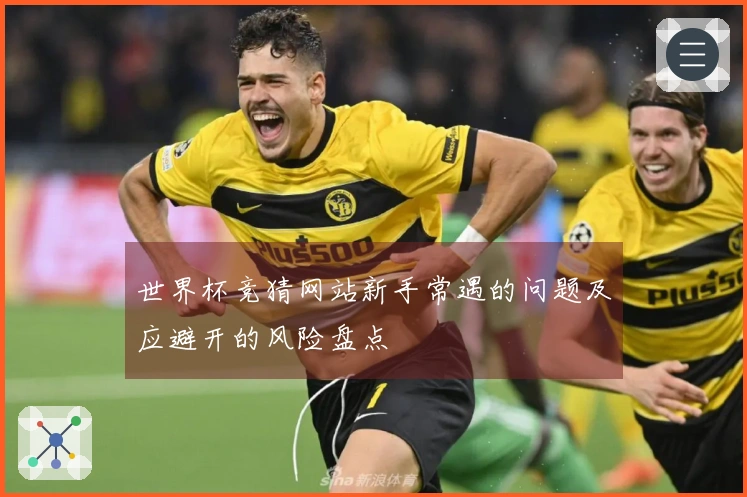 世界杯竞猜网站新手常遇的问题及应避开的风险盘点