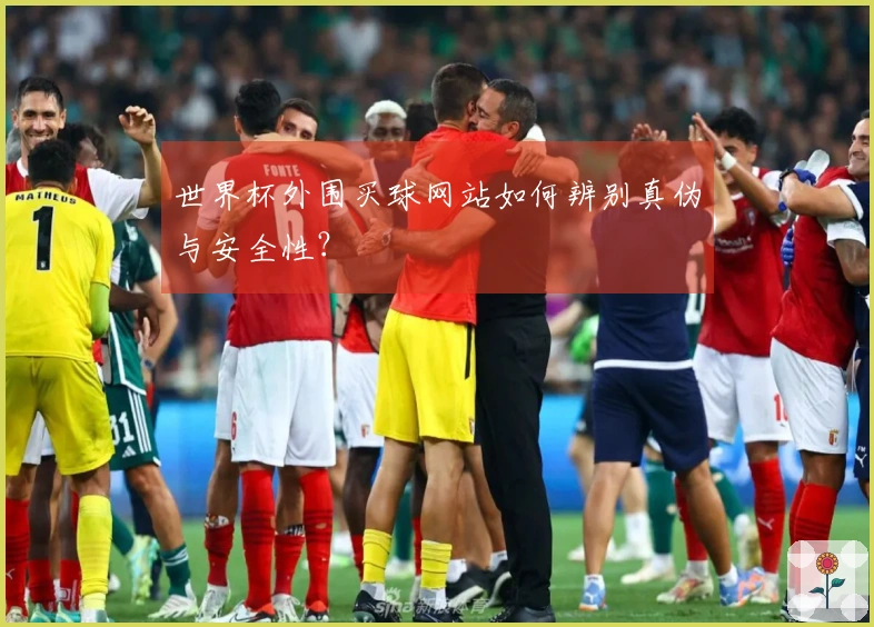 世界杯外围买球网站如何辨别真伪与安全性？