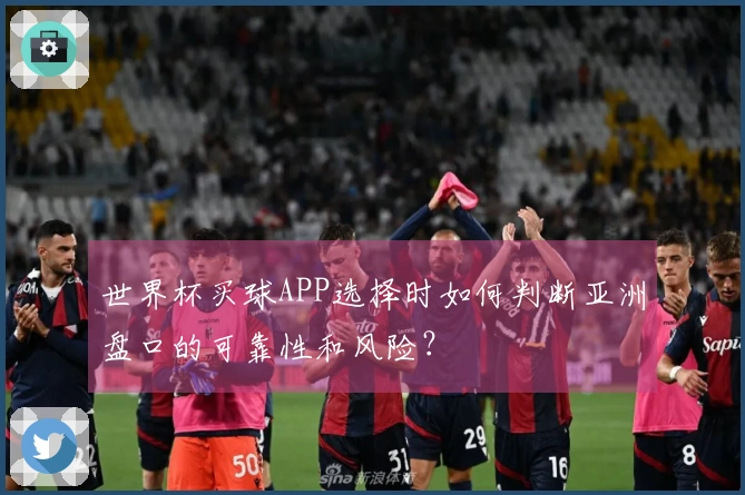 世界杯买球APP选择时如何判断亚洲盘口的可靠性和风险？
