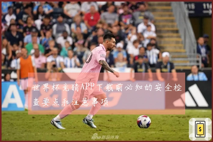 世界杯竞猜APP下载前必知的安全检查要点和注意事项