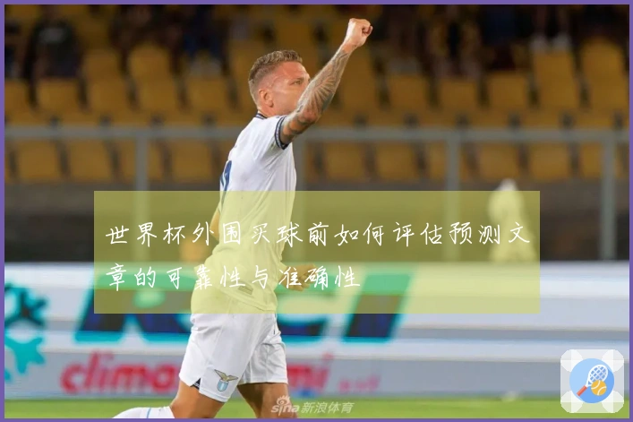 世界杯外围买球前如何评估预测文章的可靠性与准确性