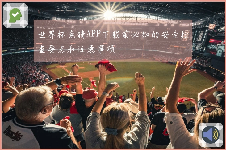 世界杯竞猜APP下载前必知的安全检查要点和注意事项