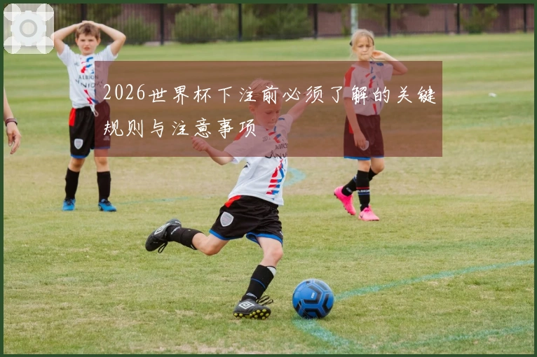 2026世界杯下注前必须了解的关键规则与注意事项