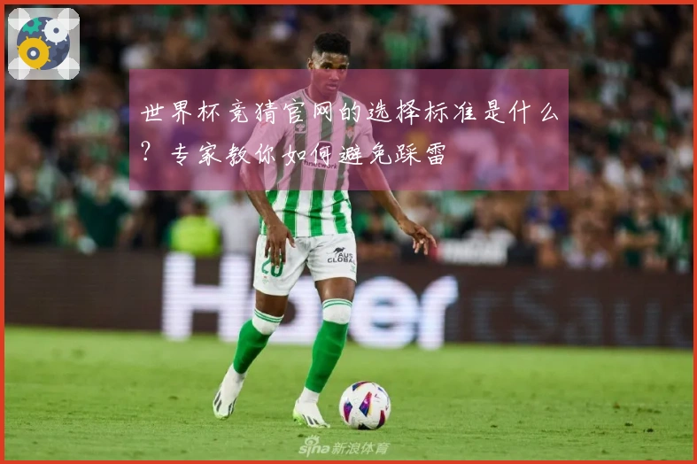 世界杯竞猜官网的选择标准是什么？专家教你如何避免踩雷